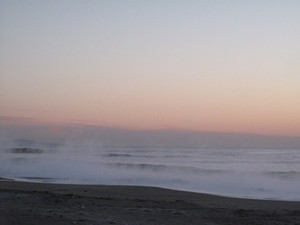 Img_1928 Img_1928