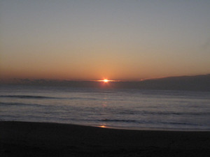 Img_1943 Img_1943