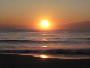 Img_1961 Img_1961