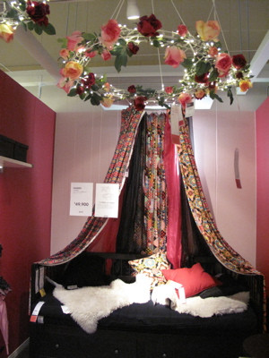 Img_2212 Img_2212