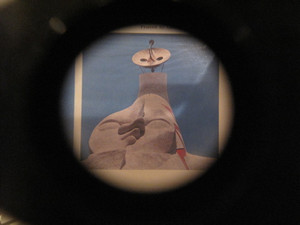 Img_2618 Img_2618
