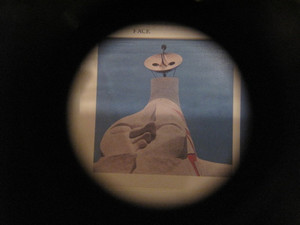 Img_2619 Img_2619