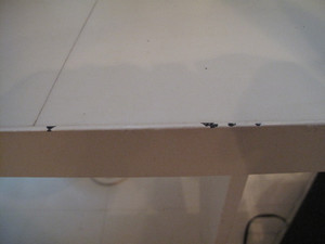 Img_3495 Img_3495